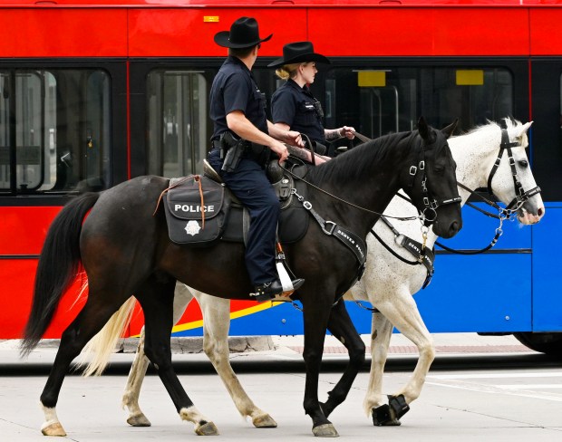 Denver Police Mounted Patrol trot downtown on July 5, 2023, in Denver. (Photo by RJ Sangosti/The Denver Post)